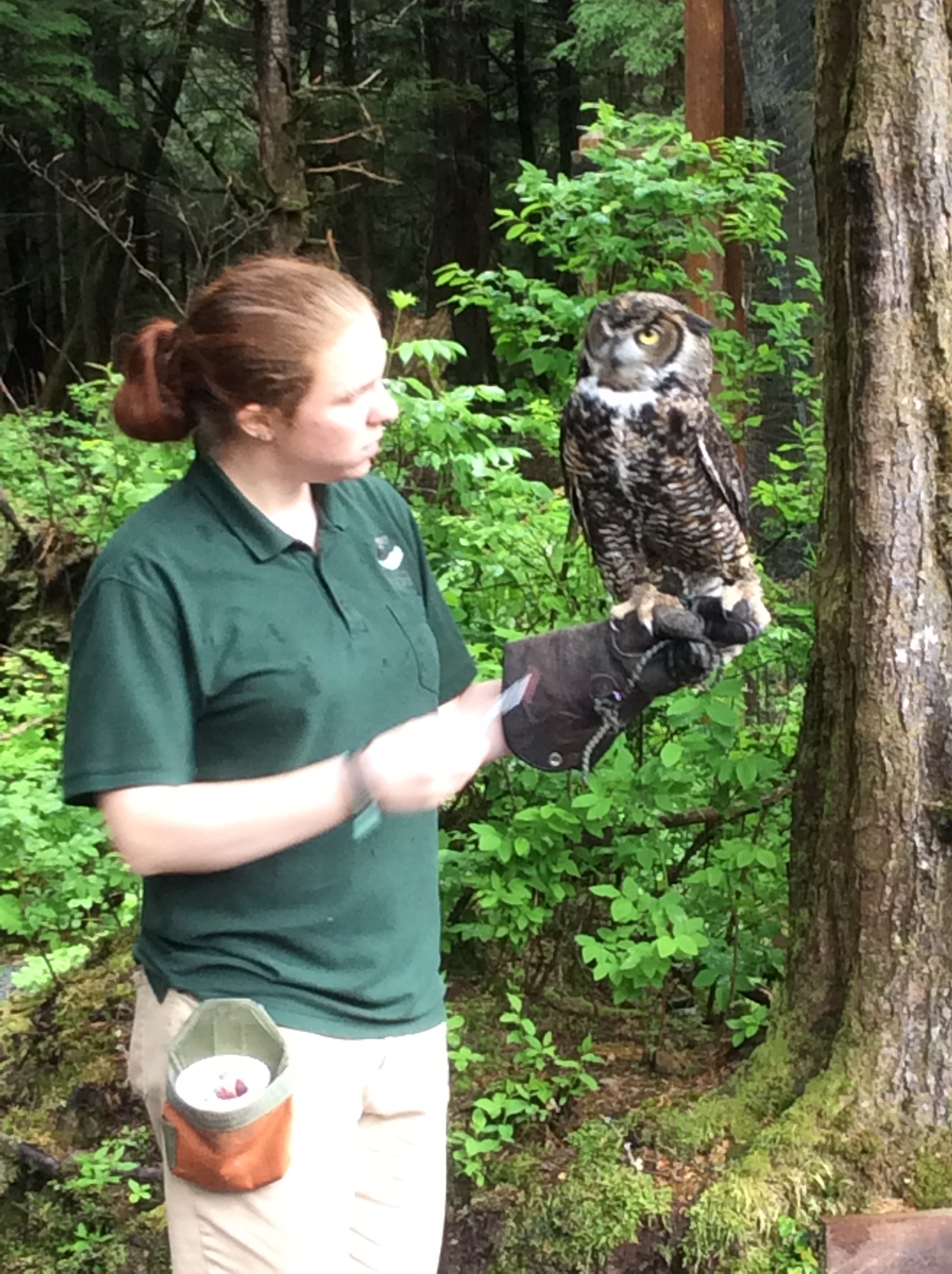 This image has an empty alt attribute; its file name is img_3799.jpg