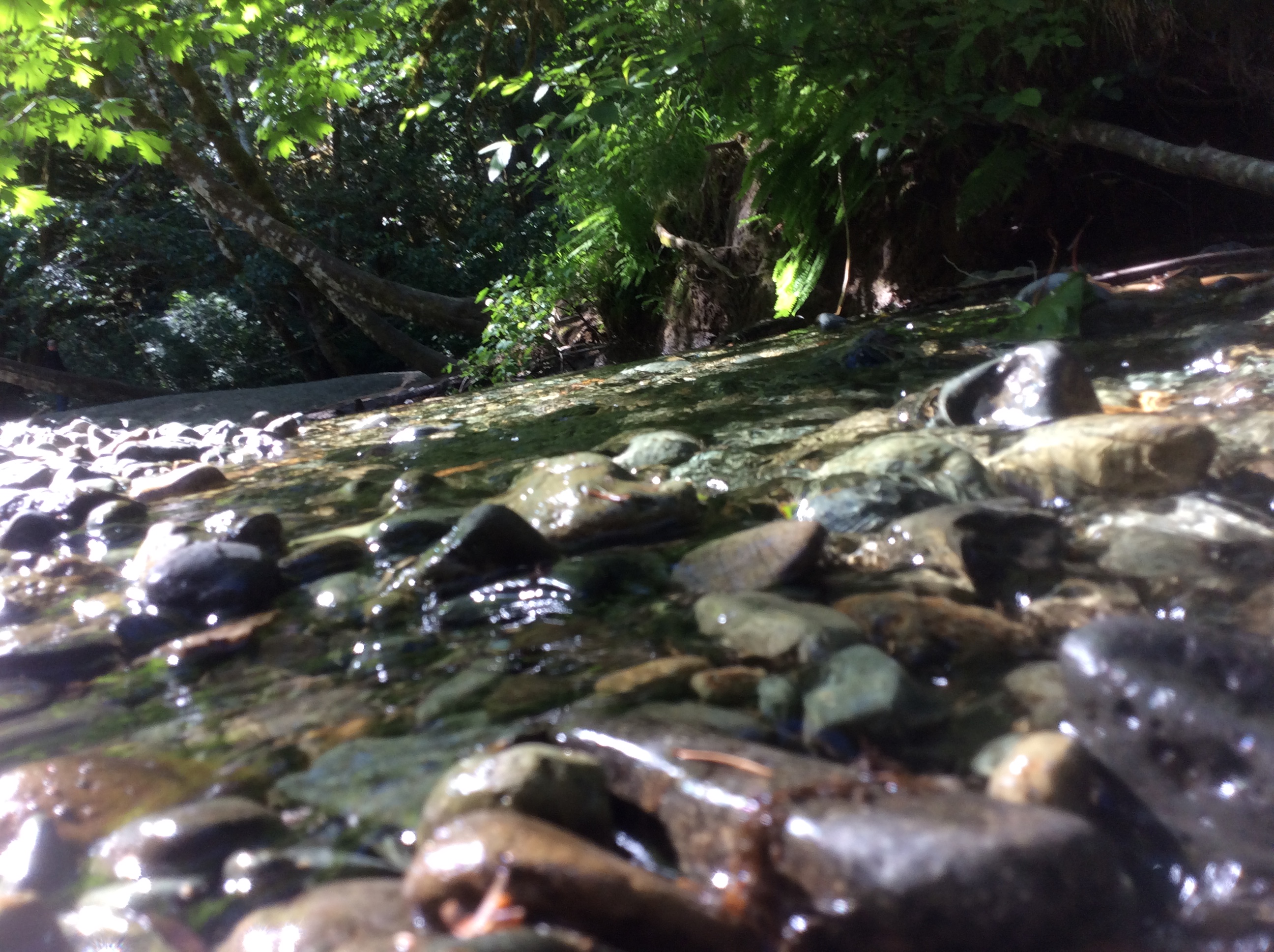 This image has an empty alt attribute; its file name is img_4102.jpg