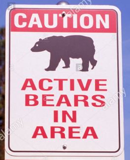 This image has an empty alt attribute; its file name is 19.8.27-bear-sign-2.jpg