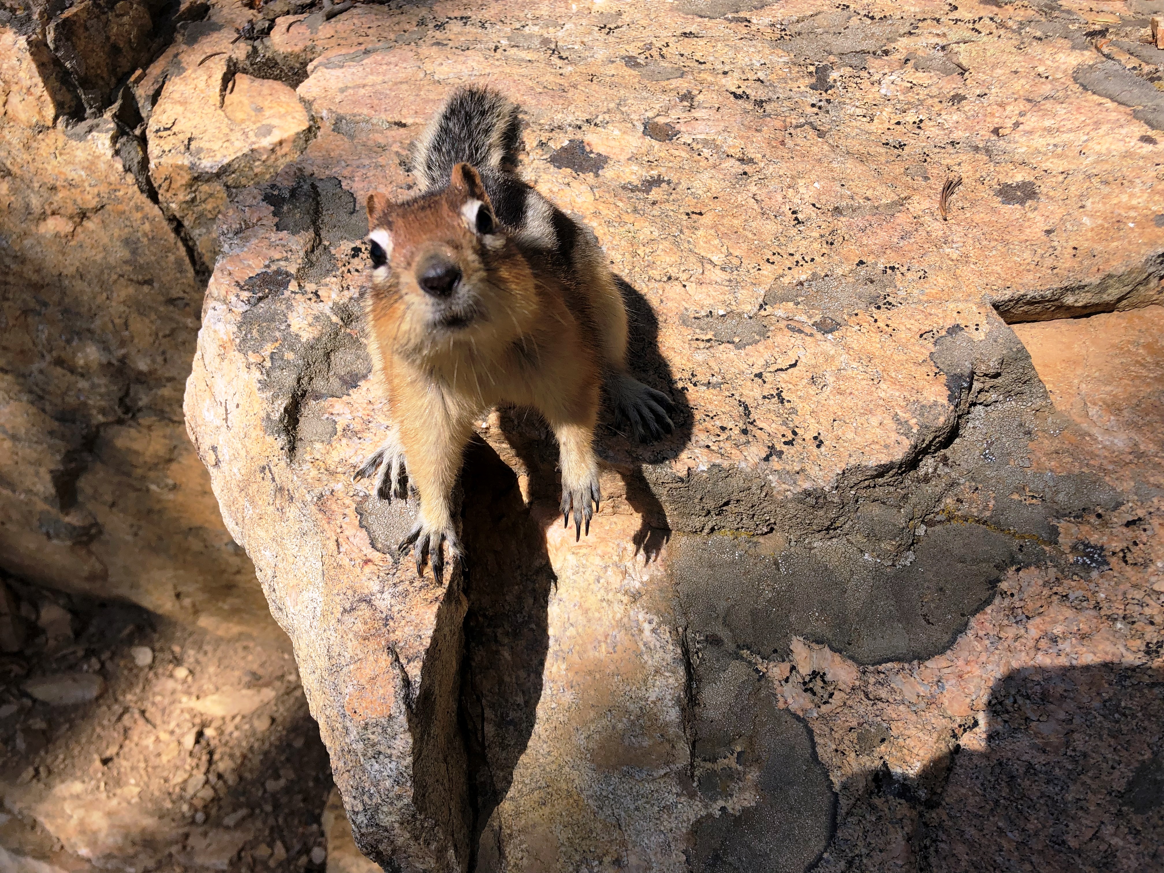 This image has an empty alt attribute; its file name is img_0061-1.jpg