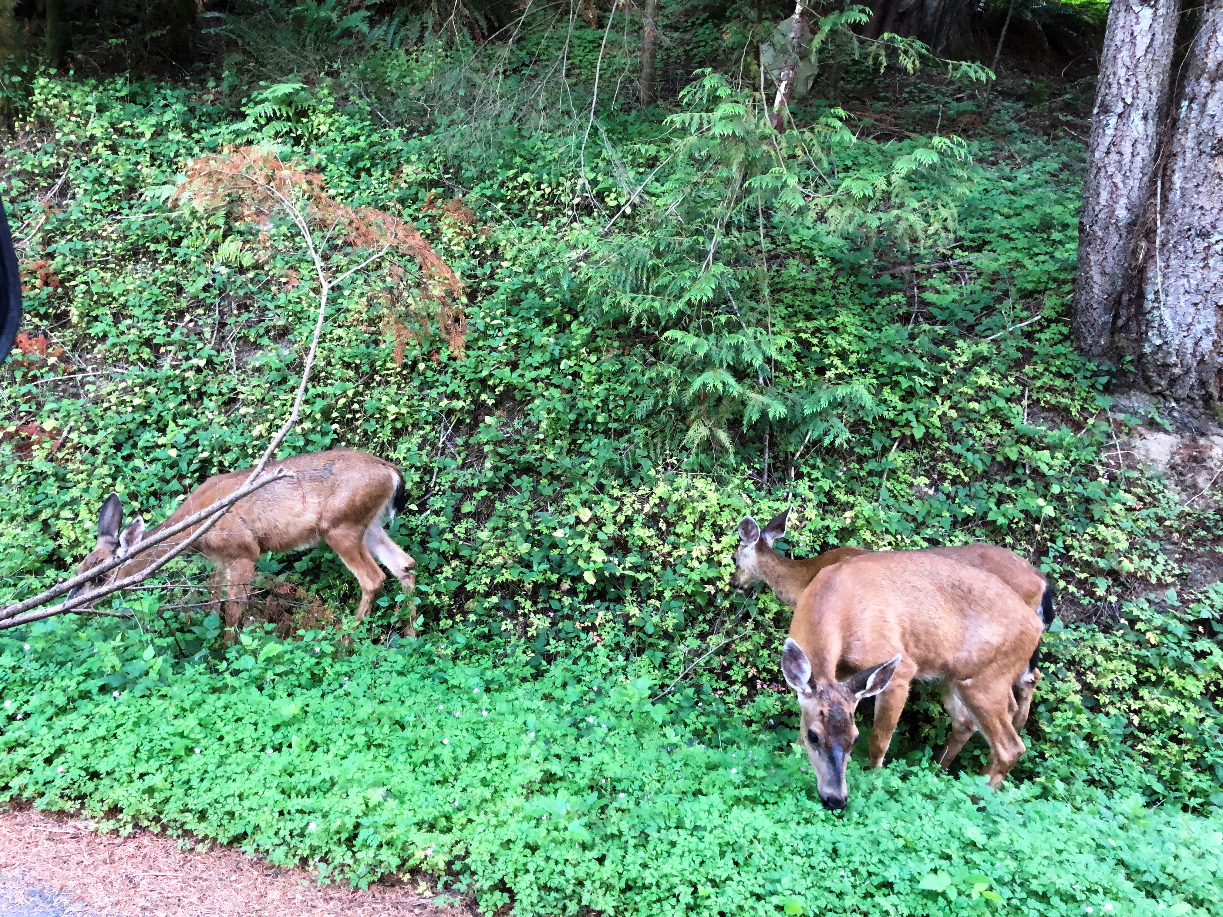 This image has an empty alt attribute; its file name is img_0083.jpg