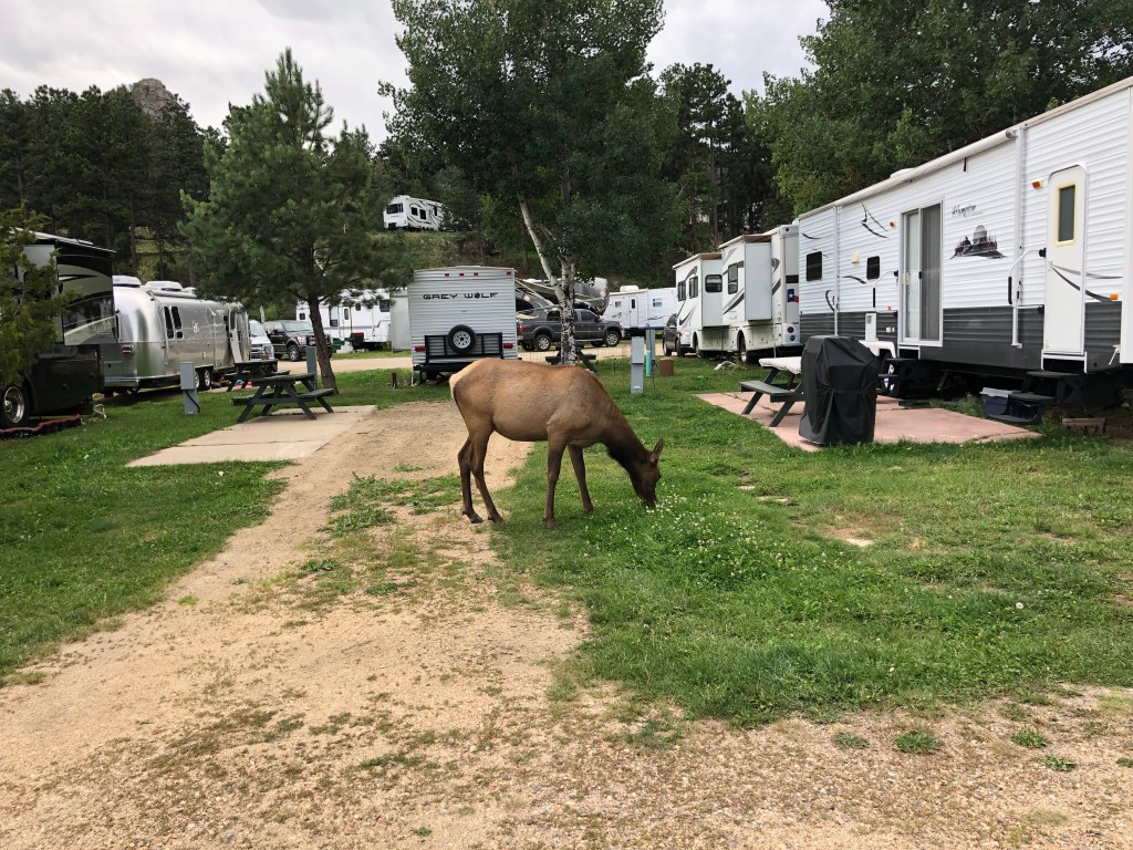 This image has an empty alt attribute; its file name is img_0456.jpg